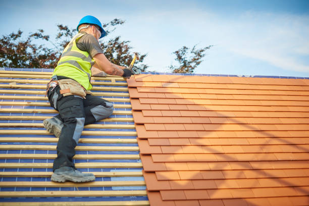 Best Asphalt Shingle Roofing  in Tano Road, NM